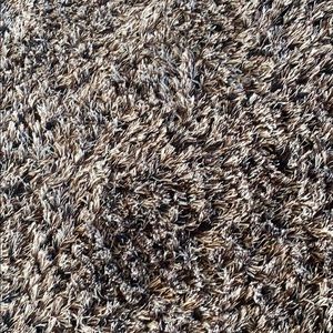 Meet your Posher, Karissa